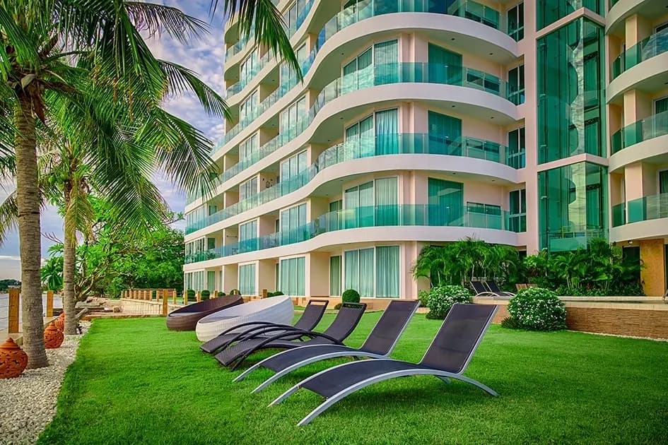 Paradise Ocean View photo